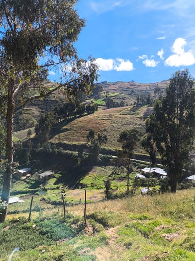The image shows a rural scene near San Ignacio, Peru. The foreground features a grassy hillside with sparse vegetation and a partially visible wooden fence. Further down the slope are several small buildings with corrugated metal roofs, possibly homes or farm structures. A small pond or water source is visible near the buildings. The middle ground consists of a valley with green fields and scattered trees. A road or path runs along the hillside. In the background, a larger, terraced hill rises, with visible patches of cultivation or different vegetation types. The sky is blue with scattered white clouds. The overall impression is of a rural agricultural landscape. There are no visible people.