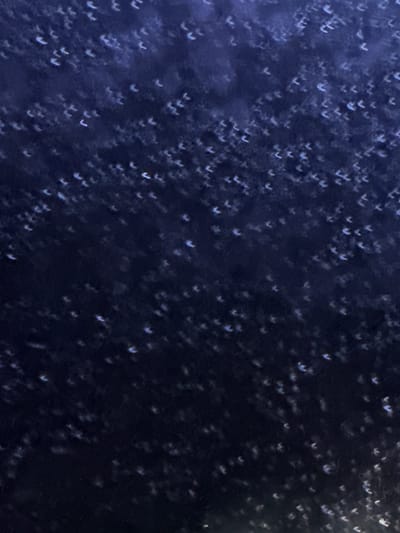 The image depicts a dark, out-of-focus background with numerous small, bright, heart-shaped bokeh effects scattered throughout. These bright shapes appear to be concentrated in the upper left quadrant of the image, with fewer visible towards the right and bottom. The overall color palette is dominated by deep blues and blacks, with the heart shapes providing a stark contrast in a lighter, almost white or pale blue hue. The texture of the background is somewhat nebulous and indistinct, suggesting either a soft material or a blurry atmospheric effect. There are no discernible people, objects, or clear scene elements. The activity or event taking place is not evident, as the image focuses solely on the abstract bokeh. Notable details such as time of day, weather, or specific location cues are absent due to the abstract nature of the image. The emotion conveyed is ambiguous, though the prevalence of heart shapes might suggest a romantic or affectionate theme to some viewers, but this is purely interpretive. No visible text is present in the media file. The location context of Ninh Tây, Vietnam, does not provide any specific visual cues within the image itself.