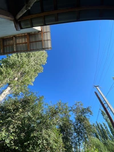The image captures an upward view of a bright blue sky in Кызыл-Тоо, Kyrgyzstan. In the foreground, on the left, a portion of a building's roof structure is visible, made of corrugated metal and wooden beams, with a rough concrete overhang. Below this structure, lush green trees dominate the left and lower portions of the frame. The foliage is dense, with some trees appearing taller and more slender than others. On the right side of the image, a power pole stands tall, supporting multiple electrical wires that stretch across the sky. One of the poles appears to be concrete, while another is a darker, possibly wooden pole. In the distance, a row of tall, slender trees creates a line against the sky. The scene suggests an outdoor, rural or semi-rural environment under a clear day.
