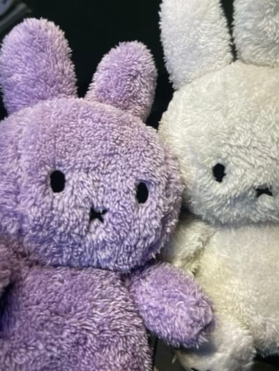 The image shows a close-up of two stuffed bunnies. One bunny is purple and the other is white, and they are positioned side-by-side, with the purple bunny slightly in front of the white one. Both bunnies have the characteristic large ears and simple facial features of plush toys, with black eyes and stitched noses. The texture of the fur is soft and fuzzy. The background is dark and out of focus. There is no identifiable location in the city of Cadek, Indonesia depicted in this image.