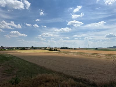This media file depicts a rural landscape in Bönnigheim, Germany. The scene is a wide view of agricultural fields under a partly cloudy blue sky. In the foreground, a field of dry, golden-brown grass and crops is visible, with a distinct shadow cast across it from an unseen object, likely a building or natural formation. Beyond this, a large field of ripe wheat or barley stretches towards the horizon, showing a rich, earthy brown color. Further in the distance, various fields in different shades of green and yellow suggest diverse crops or fallow land.

On the far left, a small village is nestled amongst trees and rolling hills, with houses and a church steeple visible. Along the horizon, power lines and transmission towers dot the landscape, indicating the presence of infrastructure. The sky is a bright blue, punctuated by scattered, fluffy white clouds, suggesting a pleasant, sunny day, likely in the late morning or early afternoon due to the strong shadows. The overall mood is serene and agricultural, typical of a summer day in the German countryside. There is no visible text in the image.