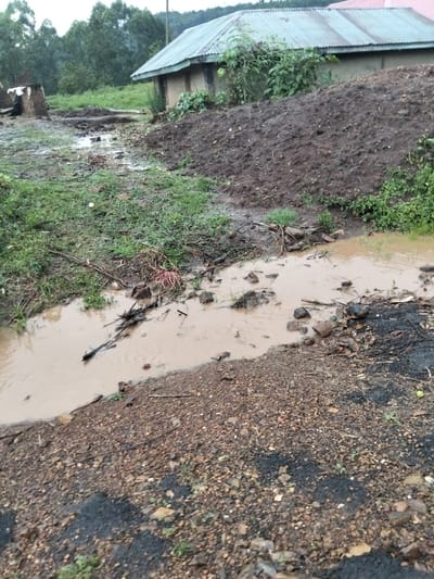 This image depicts a rural or semi-rural scene in Nyansiongo ward, Kenya, characterized by muddy terrain and signs of recent or ongoing rainfall. In the foreground, a rough, dark brown and grey gravel-like surface transitions to a light brown, muddy stream flowing from left to right across the lower mid-section of the frame. The stream contains various debris, including rocks, dark wooden sticks, and some reddish fibrous material. The stream's banks are partially overgrown with sparse green grass and weeds.
Beyond the stream, the ground is predominantly muddy and uneven, with patches of green vegetation. To the right, a large mound of dark, wet earth rises. In the midground, towards the left, a partially obscured structure with mud or earth walls and a section of a corrugated metal roof is visible, appearing somewhat dilapidated or incomplete. A more intact, single-story building stands in the background, featuring light brown, possibly mud or concrete, walls and a light grey corrugated metal roof. Dense green foliage and trees are visible behind and around this building, extending into a treeline in the far background under an overcast sky. No individuals, explicit actions, or direct interactions are visible within the scene.