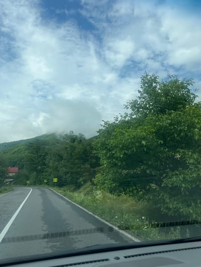 The image captures a scenic view of a wet, asphalt road winding through a lush green mountainous landscape. The road, with a white line marking its edge, appears to have recently experienced rain, as indicated by the damp surface. Several yellow road signs with black arrows are visible along the roadside, warning of curves ahead.

To the left of the road, a small, rustic house with a red roof peeks out from behind a dense collection of trees. The background is dominated by a steep, tree-covered mountain, partially obscured by soft, white clouds that cling to its peaks, creating a misty, ethereal atmosphere. A large, leafy tree stands prominently on the right side of the frame, its branches reaching towards the sky, which is a blend of blue and scattered white clouds. The foreground shows the interior of a vehicle, suggesting the image was taken from the driver's perspective.

The overall impression is one of a tranquil, natural setting, likely in a rural area of Ukraine, given the mention of Kostylivka. The scene evokes a sense of peaceful journey through a verdant, mountainous region.