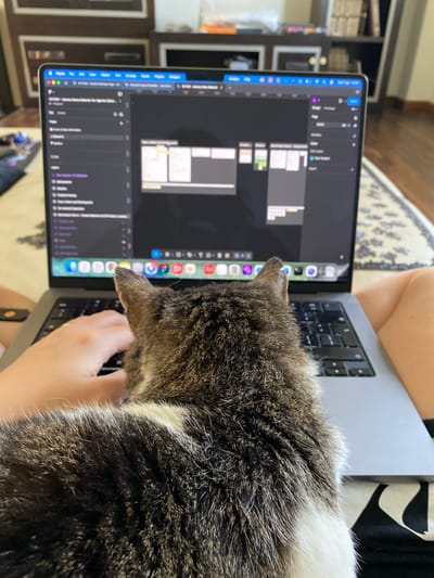 The image shows a close-up of a person using a laptop, with a gray and white cat lying on the keyboard. The laptop screen displays a graphical interface, possibly for video editing or design software. A hand is visible operating the keyboard beneath the cat. The laptop is placed on the person's lap. In the background, a bookshelf is partially visible. There is no information about the location being Villaviciosa, Spain in the image.