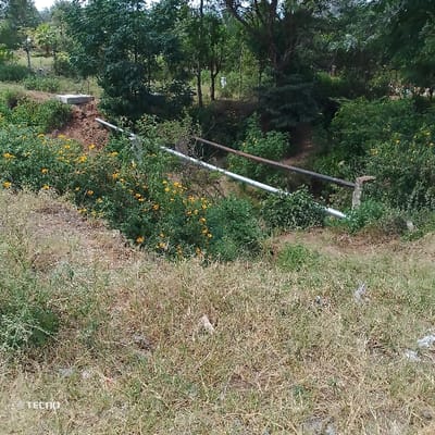 The image depicts an outdoor, daytime scene located in Mumbuni North ward, Kenya. The foreground consists of dry, light brown and green grass interspersed with scattered white debris. A significant trench or natural depression extends horizontally across the midground, densely filled with vibrant green foliage and numerous yellow flowering plants. Spanning this depression are two parallel horizontal elements: a lower white pipe and an upper dark, possibly metal, bar. Both appear to be supported on the right side by a vertical post, likely concrete or wood. In the background, a thick canopy of mature green trees dominates the skyline. To the upper left, a rectangular concrete structure is visible on an elevated patch of reddish-brown soil, with a thinner white pipe emerging from the ground adjacent to it. No individuals, animals, or active interactions are present within the frame.
