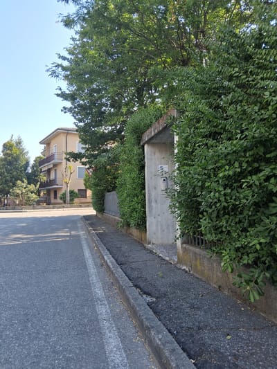 A street scene in Colorno, Italy. On the right, a dense green hedge partially obscures a concrete structure with a doorbell system. A metal fence runs along the base of the hedge. To the left, a sidewalk of dark asphalt with visible cracks is bordered by a concrete curb. Beyond the sidewalk, a paved road is visible with a white line marking its edge. In the background, a light-colored multi-story building with balconies and windows stands amidst trees. The sky is clear and blue.