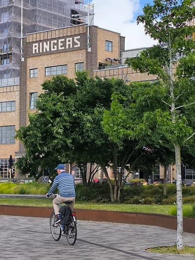 An outdoor, slightly elevated eye-level shot captures an urban scene with a cyclist in the foreground and historical architecture in the background, set under a partly cloudy sky.
In the immediate foreground, a paved pathway with a dark grey geometric pattern recedes into the distance. A man on a bicycle is the primary subject, cycling away from the viewer. He wears a blue cap, a blue and light blue striped long-sleeve top, and light tan trousers. A black bag is securely attached to the rear rack of his bicycle. To the left of the pathway, a low, rusty-colored metal edge encloses a strip of green grass and various shrubs and trees.
The midground is dominated by a dense cluster of trees with vibrant green foliage, partially obscuring the buildings behind them. One tree on the far right has a distinctive light-colored, almost white, bark.
In the background, a large, multi-story brick building with a classic industrial or warehouse style is prominent on the left. High on its facade, the word "RINGERS" is spelled out in large white capital letters against a darker brown band. This building features numerous rectangular windows. To its left and partially behind it, scaffolding covered in white protective netting indicates ongoing construction or renovation of another structure. Further to the right, other brick buildings are visible behind the trees, suggesting a bustling urban area.
The scene appears to take place during daylight hours, with a bright sky and ample natural light. The architecture and "RINGERS" sign are notable features. The setting combines built structures with significant green spaces, indicating an active urban environment like Alkmaar, Netherlands.