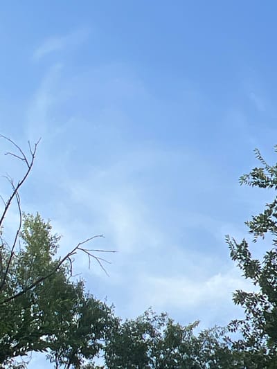 The image shows a bright blue sky with scattered wispy clouds. The tops of several trees with green foliage are visible at the bottom of the frame, framing the sky from the left and right sides. Bare branches from a tree are also visible in the upper left quadrant of the image. The scene appears to be an outdoor environment, possibly a park or residential area, within the city of Kant, Kyrgyzstan, given the context. There are no people or specific landmarks visible in the image.