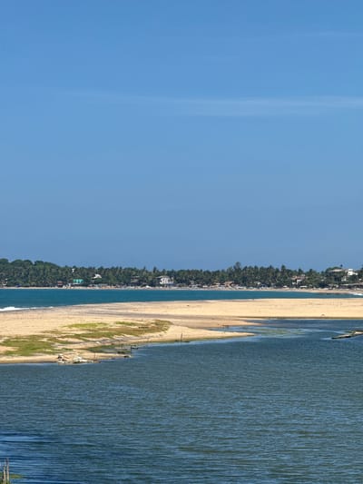The image displays a serene beach scene at Arugam Bay, Sri Lanka. The primary subjects are the vast expanse of the ocean and the sandy beach, dotted with sparse vegetation and a line of trees and buildings bordering the sand. The sky is a clear, bright blue, suggesting a sunny day with good visibility.
The scene captures the natural beauty of a coastal landscape. The ocean is a deep blue with gentle ripples, meeting the golden sand in a clear line. Along the edge of the beach, a dense line of lush green trees creates a distinct boundary between the natural shore and the inhabited area. Beyond the trees, small buildings, possibly resorts or homes, are visible, indicating a popular tourist destination or local settlement.
There are a few people visible on the beach and in the water, suggesting a leisurely day for swimming, sunbathing, or simply enjoying the scenery. Some small boats are also present, hinting at fishing or recreational activities. The overall atmosphere is peaceful and tranquil, characteristic of a tropical beach destination. The time of day appears to be late morning or early afternoon, given the bright sunlight and clear sky. No text is visible in the image.