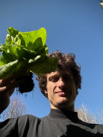 The scene depicts an outdoor setting in Vincennes, France, under a clear, bright blue sky. A male subject is captured from a low-angle perspective, positioned against the sky and a distant background. He appears to be in his twenties or thirties, with short, curly brown hair and light facial stubble. The subject is wearing a dark, high-necked garment. He holds a head of green leafy lettuce, complete with a visible root ball and adhering soil, elevated in his right hand. The lettuce leaves are vibrant green, with some areas appearing shadowed. In the blurred background, several deciduous trees with bare branches are visible. Strong natural light, originating from the subject's right, creates distinct shadows on his face and clothing.