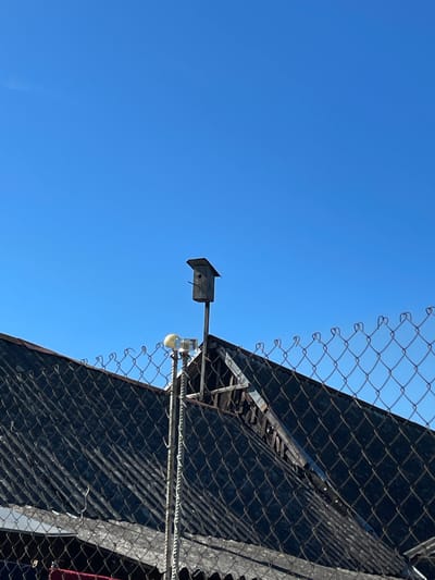 The image captures a view looking upwards against a bright, clear blue sky, suggesting a sunny day. The primary subjects are a birdhouse mounted on a pole and a chain-link fence. The birdhouse is a small, dark, rectangular structure with a pitched roof, positioned to the left of the frame. To the right of the birdhouse, and slightly below it, is a round, light-colored object, possibly a sensor or a light fixture, also mounted on a pole.
Behind these objects, a dark, textured surface is visible, angled upwards. This surface is partially obscured by a chain-link fence that runs across the upper portion of the image and also to the right. The fence is metallic, with a diamond-shaped mesh pattern. The dark surface appears to be a type of fabric or sheeting, possibly stretched over a frame, and it casts distinct shadows due to the angle of the sun. The overall scene suggests an outdoor setting, possibly a backyard, park, or an area with some form of enclosure. There are no people visible in the image.
The time of day appears to be mid-morning or afternoon, given the bright sunlight and clear sky. No specific location cues are present beyond what can be inferred from the objects and the general outdoor environment. The image is static and does not depict any activity or event. There is no visible text in the image. The context provided, Izborsk, Russia, does not introduce any elements visible within the frame itself.