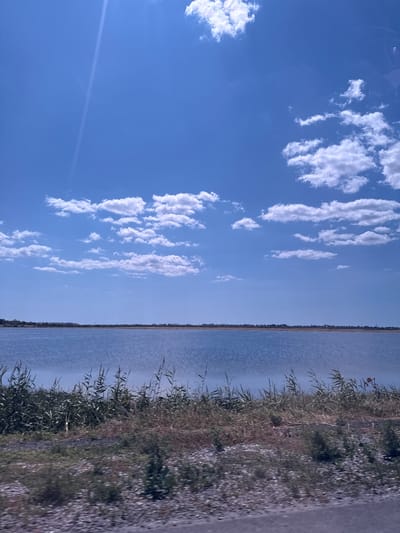 The image depicts a wide, calm body of water under a bright blue sky with scattered white clouds. The foreground features dry, wispy grass and some sparse greenery, with a gravelly or rocky area visible at the very bottom. In the distance, a flat, treeline separates the water from a hazy horizon line, suggesting a distant shore with some indistinct structures. A faint sunbeam streaks diagonally across the upper left portion of the sky. There are no people or animals visible in the frame. The environment appears to be an open, natural landscape. The mention of "Koshary, Ukraine" in the prompt does not correspond to any visible elements within the provided image.