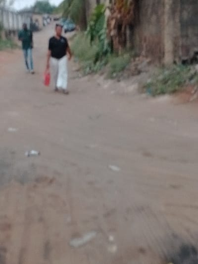 The scene depicts an unpaved dirt road in Orie Uratta, Nigeria, under an overcast sky. In the mid-ground, a male individual, dressed in a dark shirt and light-colored trousers, walks towards the left, holding a red object in his right hand. Further down the road, another individual, wearing a dark top and light blue trousers, walks in the same general direction. The right side of the road is bordered by green foliage, some dried brown plant matter, and a textured concrete or mud wall. The dirt road surface is light brown, uneven, and features scattered white and light-colored debris. In the far background, multiple vehicles, including a large truck or bus, and indistinct structures are visible. No direct interaction between the individuals is observed.