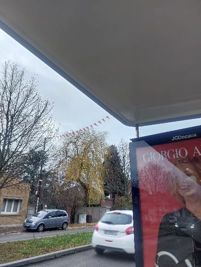 The image depicts an urban street scene in Sallaumines, France, viewed from beneath a light-colored overhead canopy, likely a bus stop shelter. On the immediate right, a JCDecaux advertising panel is partially visible, displaying a segment of an advertisement for "GIORGIO A..." featuring a smiling woman's face, with reflections of the street and vehicles evident on its surface.

A paved road runs through the midground. A white hatchback vehicle, resembling a Peugeot 208, is captured in motion, its rear visible as it moves from right to left. Its license plate begins with "DP-5". Further left on the road, a silver minivan, resembling an Opel Meriva, is parked stationary on the roadside, facing left.

Adjacent to the parked minivan is a narrow grassy verge and a sidewalk. To the far left, a two-story brick building with white horizontal window blinds is partially visible. The scene features various deciduous trees: a bare tree on the far left, and a prominent tree with vibrant yellow autumn foliage centrally located behind the parked vehicle. Denser, darker trees are visible further back, beyond a concrete fence or wall. A string of small red triangular pennants is suspended horizontally across the sky, spanning the mid-ground above the trees. The sky is uniformly overcast and grey.
