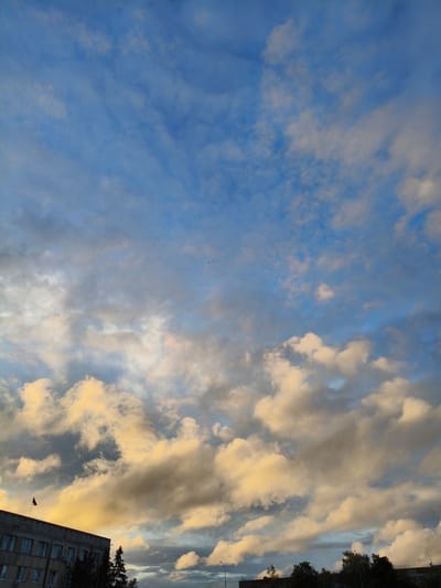 The image captures a sky filled with clouds over the city of Petrovsk, Russia. A building with multiple windows and a flag on its roof is visible in the lower left corner. Tall trees are also present, silhouetted against the cloudy sky. The clouds are illuminated by what appears to be sunset or sunrise, casting a warm, golden glow on some of them, while others remain in shadow, appearing darker. The overall scene is dominated by the vast expanse of the sky and the atmospheric lighting.