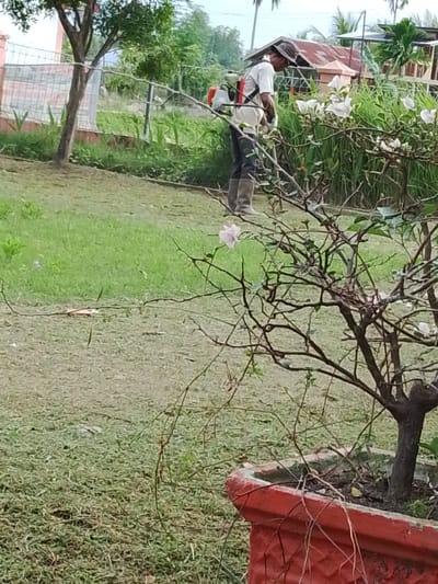 A man wearing a hat and a light-colored shirt is trimming grass with a weed whacker in Blangpeuria, Indonesia. He is wearing dark pants and tall boots. In the foreground, a potted plant with thin branches and white flowers is visible. Behind the man, there are houses with red roofs and lush green vegetation. The ground is covered with grass, some of which appears recently cut.