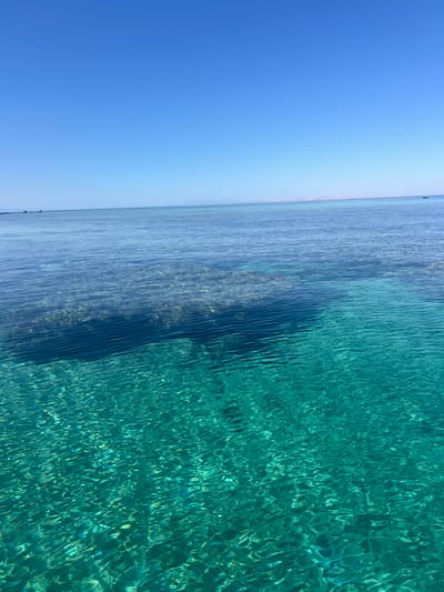The image depicts a vast expanse of clear, turquoise water under a bright blue sky. The water is shallow enough in some areas to reveal the coral formations beneath the surface, creating a mosaic of light and shadow. The gentle ripples on the water's surface refract the sunlight, casting shimmering patterns. In the distance, the horizon is marked by a faint outline of land and a few boats, suggesting a coastal or marine environment. The overall impression is one of tranquility and natural beauty. The scene is likely a tropical or subtropical location, possibly a coral reef area known for its clear waters and marine life.