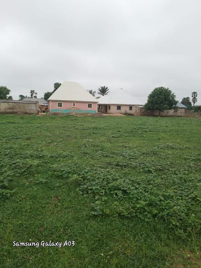 The image captures a somewhat overcast day in Doka-Tofa, Nigeria, with a wide expanse of green vegetation dominating the foreground. The vegetation consists of a mix of grass and low-lying plants with small white flowers. In the middle ground, a pale pink house with a white, multi-faceted roof stands prominently. The house has several windows with light-colored frames. To the left of this house is a concrete wall, partially covered by vegetation, and further to the left, another building with a corrugated metal roof is visible. To the right of the pink house, there is another building constructed from what appears to be mud or concrete blocks, with a simple blue roof. Several trees, including palm trees, are scattered throughout the scene, some taller and more mature than others. The sky is a uniform grey, suggesting cloudy conditions. A watermark at the bottom left corner of the image reads "Samsung Galaxy A03". There are no people or animals visible in the frame.