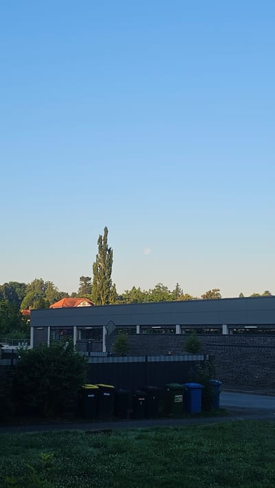 The image shows a tall, slender tree against a clear blue sky with a faint circle, possibly the moon, visible in the upper right quadrant. Below the sky and tree, there is a building with a gray facade and a dark roof. In front of the building, a row of trash bins is visible, including black, yellow-lidded, green, and blue bins. The area in front of the bins is a paved surface, and beyond that, there is a grassy area with some dew or moisture. The background includes more trees and the roof of a building with orange tiles. The scene appears to be an outdoor area in the city of Hann. Münden, Germany. There are no people or animals visible in the image.