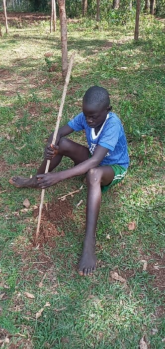 A young boy sits barefoot on grass holding a long, thin wooden stick. He wears a blue t-shirt and green shorts. His body is angled diagonally across the frame, and he looks down towards the stick. The background includes trees on the left and green grass with some bare patches. The image is captured in natural light.