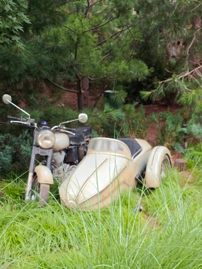 This media file depicts an outdoor scene, likely in Tongzhou District, China. The primary subject is a vintage-style motorcycle, partially covered by tall green grass and surrounded by pine trees. The motorcycle is light-colored, with chrome accents, and appears to be leaning on its side. It has a large, round headlight, two mirrors extending from the handlebars, and a cream-colored body. The engine and frame are visible, as is a black seat.
The setting is a natural environment with abundant greenery. The pine trees are dense and appear to be in a naturalistic setting, possibly a park or a less manicured area. The tall grass suggests a wilder or overgrown area. The lighting in the image is soft, hinting at a daytime scene, possibly overcast or with diffused sunlight. There are no people visible in the frame, and no specific activity or event is clearly taking place beyond the motorcycle's presence in the environment. The overall impression is one of stillness and perhaps a sense of being forgotten or abandoned, given the motorcycle's position and the encroaching vegetation. No text is visible in the image.