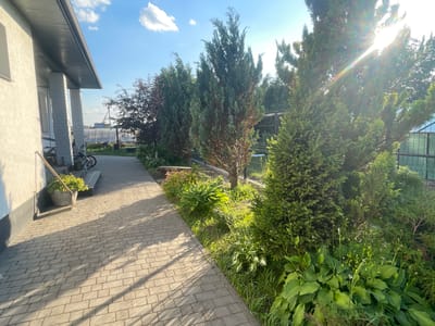 This image depicts a sunlit pathway leading alongside a modern house in a rural Belarusian setting. The pathway is paved with rectangular gray bricks, and a portion of the house's light-colored, textured wall is visible on the left. A dark gray foundation runs along the base of the house.

In front of the house, a metal bucket contains a lush green plant, and a wooden handle protrudes from it. To the right of the pathway, a vibrant garden flourishes with various plants, including hostas and tall evergreen trees. Sunlight streams through the trees, casting dappled shadows on the path and illuminating the garden with a warm glow. The sky is bright blue with a few fluffy white clouds.

Further down the path, bicycles are parked, and a glimpse of a greenhouse or shed structure can be seen in the background, suggesting a residential or agricultural property. The scene conveys a sense of peacefulness and the beauty of a sunny day in the countryside. The time of day appears to be late afternoon or early evening due to the long shadows and the angle of the sun. There is no visible text in the image.