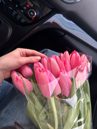 The scene depicts an interior view from within a vehicle, stated to be located in Slavyansk-na-Kubani, Russia. A human hand, exhibiting light skin tone and manicured nails with a pale pink polish, rests upon a bouquet of approximately 15 to 20 pink tulips. The tulips are in a closed or semi-closed bud stage, featuring green stems and leaves, and are partially encased in clear plastic wrapping. Below the hand and flowers, the upper portion of a lap clad in light blue denim is visible. The upper right background displays a black vehicle dashboard and center console. Visible components include a climate control panel with various black buttons, circular knobs (one prominently labeled 'MAX A/C' and illuminated with both red and blue light), and a button depicting a windshield defrost icon. A glossy black trim piece on the console reflects ambient light, showing light blue and grey hues suggestive of an outdoor sky. The overall illumination indicates daylight conditions.