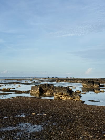 The image depicts a rocky coastline at low tide, with scattered boats visible on the horizon. The foreground is dominated by dark, wet rocks covered in what appears to be seaweed or marine debris. In the midground, larger rock formations emerge from shallow pools of water, reflecting the sky. The background shows a calm sea under a pale blue sky with wispy clouds. Several fishing boats are positioned on the water, suggesting a coastal community or active fishing grounds. The location is identified as Lý Sơn Special Administrative Region, Vietnam.