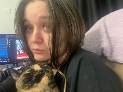The image depicts an indoor scene featuring a young adult female and a calico cat. The specific location within Pushchino, Russia, is not discernible from the visual evidence.
The female subject has dark, medium-length hair, appearing somewhat damp, parted on the side and falling forward. She possesses light-colored eyes and a neutral expression, gazing directly at the viewer. She is wearing a dark, long-sleeved garment, with her left shoulder and upper arm visible.
A calico cat with black, orange, and white fur patterns is positioned in the lower-left portion of the frame, resting against the female subject's torso. The cat's head is tilted upwards, and its eyes are partially closed.
In the background, a computer monitor is visible to the left of the female subject, displaying a screen that includes what appears to be a YouTube interface. A video featuring individuals on a red carpet is displayed on the monitor. To the left of the monitor, a white electrical outlet or switch is mounted on a light-colored wall. To the right of the female subject, a light purple, textured fabric object, possibly a blanket or cushion, is present against a dark background. The scene is illuminated by interior lighting.