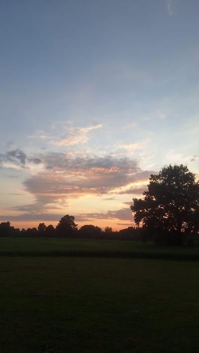 An outdoor, vertical, eye-level shot captures a tranquil twilight scene in an unspecified location in Latvia. The sky transitions from a pale blue at the top to soft hues of orange and pink near the horizon, with scattered wispy clouds. A line of dark trees forms a silhouette against the colorful sky in the mid-ground. In the foreground, a dark, grassy field stretches across the bottom of the frame, with the silhouette of a large, leafy tree dominating the right side of the image. The overall impression is one of peaceful natural beauty as day transitions into night.