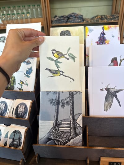 A hand holds a postcard depicting two birds perched on a leafy branch. The card is positioned in front of a display of similar cards, each featuring different botanical or ornithological illustrations. The display unit is made of dark wood with shelf-like compartments containing stacks of cards. A glass cabinet or display case is visible in the background on the left, containing small glass objects. The setting appears to be a shop in Vyborg, Russia, selling postcards and possibly other curated items.