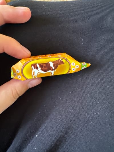 A close-up shot shows a person's hands holding a small, individually wrapped chocolate candy. The candy wrapper is predominantly yellow with a golden oval in the center. Inside the oval is an illustration of a brown and white cow. The rest of the wrapper is decorated with small white flowers with red centers, scattered on a green background. The fabric of the clothing beneath the candy appears to be black and textured, possibly a t-shirt or similar garment. The lighting suggests it's daytime, but no specific time of day or weather conditions can be determined. There is no visible text on the candy wrapper. The image is likely taken indoors, given the focus on the object and hands.
