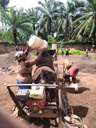 In Nnewi, Nigeria, an outdoor scene depicts individuals engaged in palm kernel processing on reddish-brown earth ground under bright daylight. A central figure, a woman wearing a patterned long-sleeved shirt, blue trousers, and a headscarf, stands to the left, pouring raw palm kernels from a white plastic bucket into the top hopper of a motorized processing machine. The machine is a rustic metal frame structure powered by a red Honda GX series gasoline engine, partially visible at the bottom center. To the right of the machine, two young individuals, dressed in a colorful striped shirt and a red shirt respectively, are crouched low, collecting processed material into white plastic containers as it exits the machine. In the background, several large, conical piles of dark, processed palm kernels are spread across the ground. Further back, near a weathered low brick wall, two adult women observe the activity. The background is dominated by numerous tall oil palm trees and dense green foliage under a bright sky.