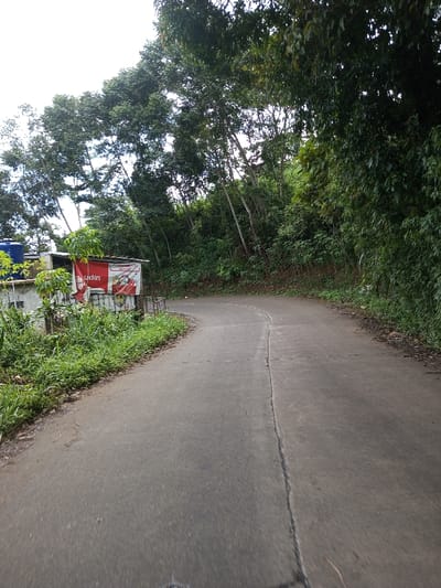 The scene depicts a paved road curving to the right, observed from a low-angle perspective, within what appears to be a semi-rural or forested area in Ariyalai, Sri Lanka. The asphalt road surface exhibits a prominent longitudinal seam or crack extending from the foreground into the curve. On the left side of the road, a narrow verge of dense green grass and low-lying vegetation runs parallel to the pavement. Behind this vegetation, a small, simple structure is visible, featuring a corrugated metal roof and a partially obscured red banner with white text, including the legible fragment "udin" and "Ayam". Adjacent to this structure, two blue cylindrical water tanks are present. The right side of the road is bordered by abundant, dense green foliage, including numerous tall trees with visible light-colored trunks that ascend a gentle slope, forming a dense canopy. The background is dominated by a clear to partly cloudy sky above the treeline. No individuals or specific actions are discernible within the frame. The environment is characterized by tropical vegetation and an unpopulated road segment.