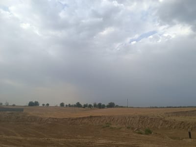 The image shows a rural landscape in Bagara, Uzbekistan. The scene is dominated by a vast expanse of dry, golden-brown fields, suggesting a harvest has recently occurred or the land is fallow. In the foreground, the earth appears to be disturbed, with visible tire tracks and uneven terrain, possibly indicating recent construction or agricultural activity. A sharp, eroded embankment runs diagonally across the middle ground, revealing layers of soil.
A line of trees and vegetation stretches across the horizon, forming a natural boundary between the fields and the sky. Some of these trees appear mature and leafy, while others are more sparse. Several utility poles with wires are scattered throughout the landscape, hinting at the presence of infrastructure. The sky is overcast with heavy, gray clouds, suggesting a possibility of rain or a storm, with a few patches of lighter sky visible. The overall atmosphere is muted and somewhat desolate, characteristic of a dry climate. There are no people or animals visible in the frame.