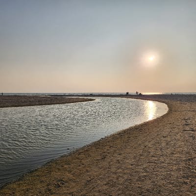 The image shows a view of a narrow inlet of water, possibly a creek or a small river, flowing into the Mediterranean Sea near Mikhmoret, Israel. The water is calm and rippling gently, reflecting the sunlight from the setting sun. The beach is sandy and dry, with a few small plants scattered across it. The sun is near the horizon, casting a warm glow over the water. A small group of people are silhouetted on the beach in the distance. There are no objects of particular interest in the image.