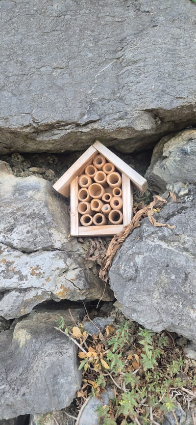 A small, wooden, house-shaped insect hotel filled with hollow bamboo tubes is nestled between large, grey rocks. The insect hotel has a light-colored wooden frame and a peaked roof. A few dried leaves are scattered around the base of the insect hotel and in the crevices of the rocks. Some small green plants are growing at the bottom of the image. The scene appears to be outdoors, possibly in a natural or garden setting, given the rocks and vegetation. This location is identified as being in Sargans, Switzerland.