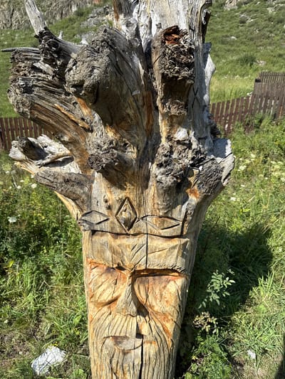 This is a medium shot, eye-level, outdoor photograph of a weathered, carved wooden totem situated in a grassy, natural environment. The totem, which resembles a stylized face, is the primary subject and occupies the center of the frame. It is made from a thick, irregularly shaped tree trunk, exhibiting visible grain, cracks, and signs of age. The carving features two almond-shaped eyes with horizontal lines above them, a diamond-shaped indentation above the eyes, and a prominent nose and mouth carved into the lower portion of the trunk. The texture of the wood is rough and appears to be partially decomposed in some areas, particularly at the top where the trunk splits into gnarled, branch-like structures.

The totem is surrounded by lush green grass, with some scattered white wildflowers visible in the foreground and mid-ground. In the background, a rustic wooden fence runs horizontally across the frame, suggesting a boundary or enclosure. Beyond the fence, a green, grassy hillside rises, with a rocky, mountainous terrain visible at the very top of the image. The lighting suggests it is a bright, sunny day, casting shadows and highlighting the texture of the wood.

This totem is located near the village of Chemal in the Altai Republic, Russia, a region known for its natural beauty and cultural heritage, where such folk art is often found.