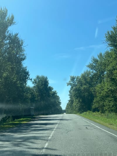 This image shows a straight asphalt road disappearing into the distance, flanked by dense green trees on both sides. The sky is a clear, bright blue with a few faint white streaks of clouds. The road has a white line marking the center and the edge. Shadows from the trees are cast across the road, indicating a sunny day. On the left side of the road, near the foreground, there's a small, dilapidated wooden structure. The scene appears to be a rural or semi-rural setting. The location is identified as Dmitrovsk-Orlovskiy, Russia, suggesting a Russian road, likely surrounded by natural vegetation typical of the region. There are no people or animals visible in the image.