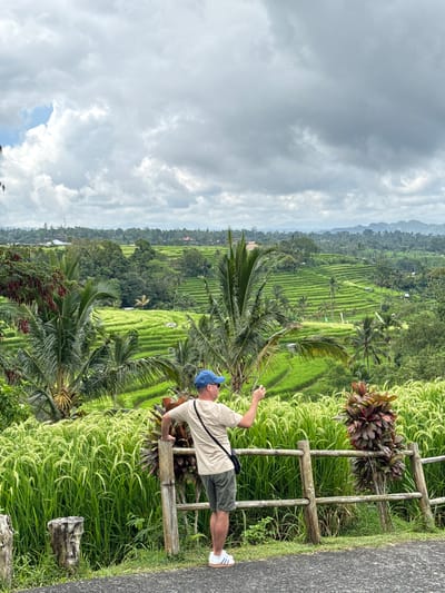 A person stands facing a vibrant green rice paddy field in Penebel, Indonesia. The field, characterized by stepped terraces, extends into the distance, bordered by lush trees and plants. Overlooking the scene is a cloudy sky with some blue patches. The person is leaning against a bamboo fence, wearing a beige shirt, dark shorts, a blue hat, and white sneakers. They are holding a phone or camera and appear to be taking a picture of the landscape. Beside the person, on the other side of the fence, lies a paved walkway. Some greenery and logs are on the ground beside the person.