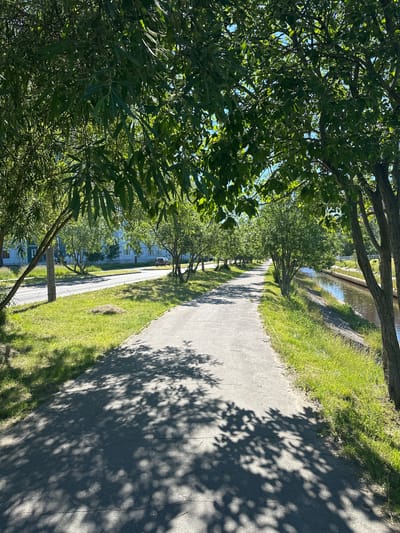 This image depicts a paved pedestrian pathway adjacent to a road and a narrow canal. Lush green trees line both sides of the pathway, casting dappled shadows on the ground. The canal, filled with water reflecting the blue sky, runs along the right side of the path. On the left side, across the road, a multi-story building with light blue siding and white-framed windows is visible, typical of residential architecture in Severodvinsk, Russia. A single dark-colored car is parked on the road near the building. The scene is illuminated by bright sunlight, indicating a clear day. There are no people visible in the image. The overall environment suggests a well-maintained urban park or riverside promenade.