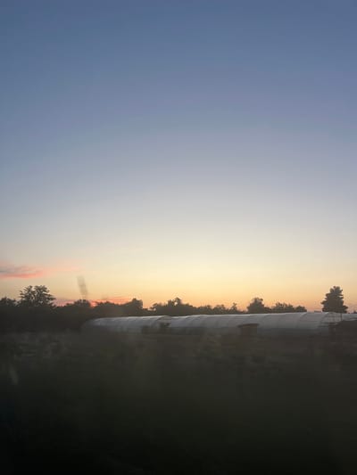 The image shows a rural landscape at dusk. The sky transitions from a pale blue at the top to soft oranges and pinks near the horizon. Silhouetted against the sunset are trees and a line of agricultural greenhouses. The foreground is dark, obscuring details of the ground. There are no people or animals visible in the scene. The location is identified as Mirovo, Bulgaria.