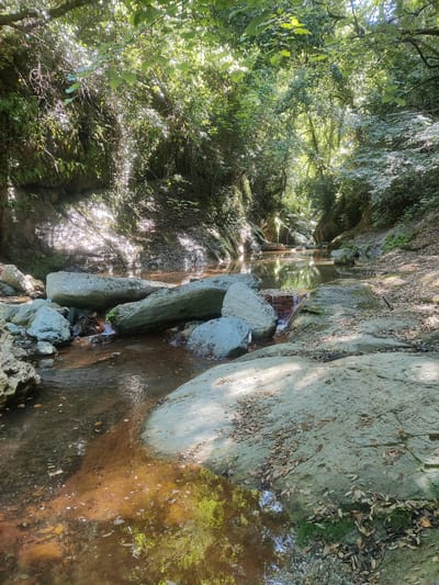 The image depicts a natural scene within a gorge, characterized by a shallow, clear stream flowing over rocks and a sandy bottom. The stream is flanked by steep, rocky banks covered in lush green vegetation, including trees, shrubs, and moss. Sunlight filters through the dense canopy of leaves, creating dappled patterns of light and shadow on the water and the surrounding rocks. Several large, smooth boulders are present in and around the stream, some partially submerged. The overall impression is one of a serene and untouched natural environment. The location is identified as the Δημοτική Ενότητα Ευρυμενών, Greece, implying a rural or natural setting outside of a major urban center. There are no people or animals visible in the image.