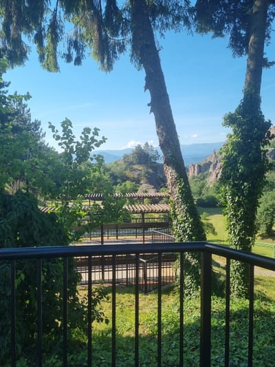 This image captures a scenic view from an elevated vantage point, likely a balcony or terrace, looking out over a verdant landscape towards rugged rock formations and distant mountains. In the foreground, a black metal railing frames the scene. Beyond the railing, a wooden structure, possibly an outdoor seating area or pavilion with a slatted roof, is visible, with benches underneath. Green grass and various trees and foliage dominate the middle ground. Two prominent trees, one with ivy growing up its trunk, stand on either side of the view. In the distance, dramatic, weathered rock formations rise from the landscape, indicative of the Belogradchik Rocks, a well-known geological formation near the town of Belogradchik, Bulgaria. The sky is a clear, bright blue with a few wispy clouds. The overall impression is one of natural beauty and tranquility.