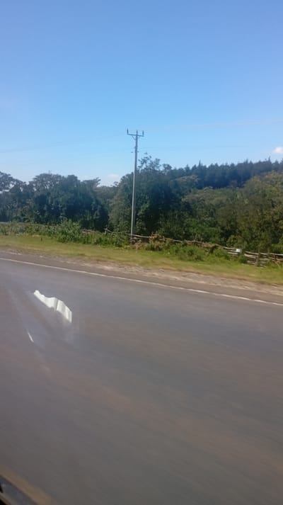 A clear blue sky dominates the upper portion, contrasting with the asphalt road taking up the lower half. In the middle ground, a landscape featuring lush green trees is interrupted by a telephone pole and accompanying wires. A modest wooden fence separates the foliage from the road. The photograph conveys a sense of motion, likely taken from a moving vehicle.