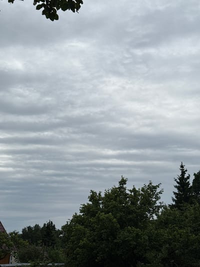 The image depicts an overcast sky with horizontal cloud formations, characteristic of stratus or altostratus clouds. The sky occupies the majority of the frame, with a dark tree canopy visible in the lower portion. Several trees, including what appears to be a fir tree on the right, are silhouetted against the cloudy sky. In the far left, the edge of a roof, possibly from a house or shed, is partially visible. The setting is likely a rural or suburban environment, given the presence of trees and a building. The scene suggests a cool, possibly humid, weather condition. The location is identified as Дзержинец-83 Снт, Russia. No people or animals are present in the image.