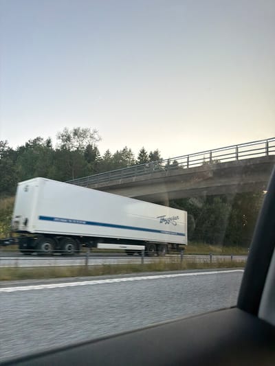 A white semi-trailer truck with blue stripes moves right to left on a highway, blurred due to motion. The truck has "Fryseren" logo visible on its side. A concrete overpass with a metal railing is visible in the background, spanning the highway. Dense green trees and foliage line the sides of the highway and the embankment beneath the overpass. The sky is a pale, overcast blue. The image was taken from inside a moving vehicle, as evidenced by the dark interior element on the right and the blurred road surface in the foreground. The location is the E6 highway near Dingle, Sweden, specifically within the area of the overpass that crosses the highway there.