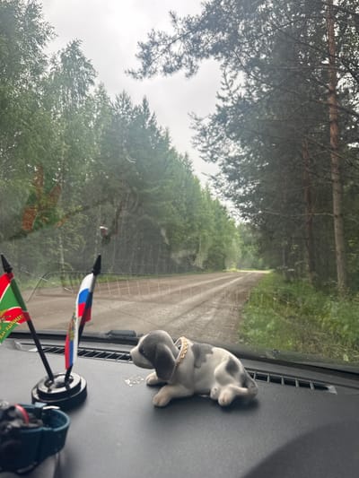 The image shows a view from inside a vehicle looking out through the windshield onto a dirt road lined with trees. Two small flags are mounted on the dashboard, one appearing to be the flag of Russia. A small figurine of a dog is also on the dashboard. The sky is overcast. The scene suggests a rural or forested location, possibly on a road leading to or from the village of Stepanovo, Russia.