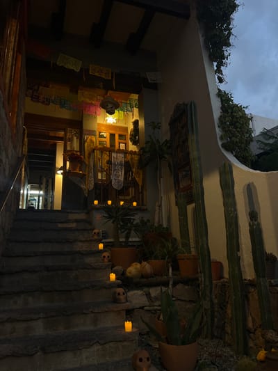 The image displays an outdoor stone staircase ascending towards a decorated building entrance in Guanajuato City, Mexico, captured during twilight or night. Eight visible stone steps rise towards a landing where the entrance is situated. The left wall of the stairway is composed of rough-hewn stone, while the right wall is a smooth, light-colored stucco surface, partially covered by climbing green vines.

The building entrance features a wooden door frame and a window with wooden panes, illuminated by warm yellow light from within. Above the entrance, multi-colored "papel picado" banners are strung, alongside a hanging straw hat adorned with a painted skull face and a white star-shaped lantern. A balcony railing is draped with white lace fabric, and a pot containing orange flowers is visible on a surface behind it.

Faux yellow LED candles and small, light-colored skull figures are systematically placed on various stair treads and on a ledge near the entrance. Numerous potted plants, including tall columnar cacti and various succulents, are arranged in terracotta pots along the right side of the staircase and on ledges. Three light-colored gourds or small pumpkins are situated amongst these plants. A tall, dark, decorative panel is mounted on the stucco wall to the right of the entrance. The sky, visible at the top right, shows the muted light of dusk. No individuals are present in the scene.