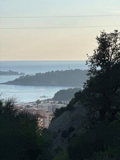The image presents a coastal landscape with a view of the Adriatic Sea from a hillside in Čučuci, Montenegro. In the foreground, dense, dark green foliage and branches obscure the lower portion of the scene. The hillside is characterized by rocky terrain, also partially covered by vegetation.
In the midground, a town or resort area is visible along the coastline. Buildings, some appearing to be hotels or apartment complexes with light-colored facades, are clustered together. A beach with numerous umbrellas and loungers stretches along the shore. The sea is a serene blue, dotted with a few boats, including a jet ski leaving a wake, and what appears to be an inflatable water park.
Further out, a long, tree-covered peninsula juts into the sea, with smaller islands scattered in the distance. The horizon is marked by a hazy line where the sea meets the sky, which transitions from a pale yellow near the horizon to a light blue overhead. Two thin, dark horizontal lines, likely power lines or wires, are visible against the sky in the upper portion of the image. A tall, silhouetted antenna-like structure stands on one of the distant peninsulas. A large, dark tree with a dense canopy dominates the upper right quadrant of the image, its branches silhouetted against the bright sky. Several small, dark specks, possibly birds, are scattered throughout the sky and over the water. The lighting suggests either early morning or late afternoon.